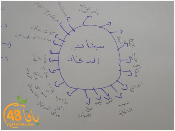 nargila lud school3j (4).jpg